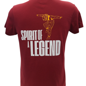 CAMISETA CHAMPION FA